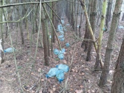 a3d2223a-fd65-462b-867f-9a63f5a2fe77