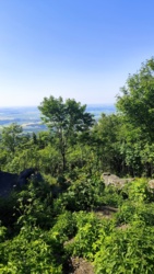 a3846536-442e-431e-841f-48c1f1fe24a2