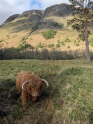 57c03fae-dcbb-44f8-8050-44beec579dc5