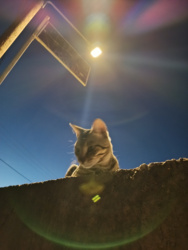 a715ce78-2b23-4502-b228-32b827deccf3