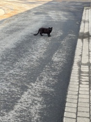 f351819a-59b9-4ff6-b6f5-484958c9d5d0