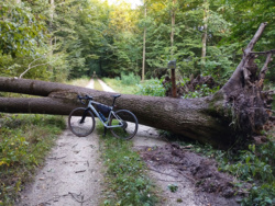 8c23d6ae-52b6-406b-9293-e0bc4590d6d9