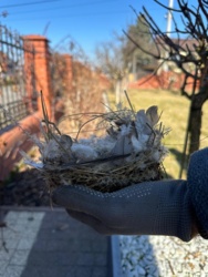 750aec67-4141-4e7e-871d-f053024ffb6d