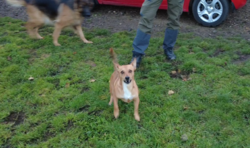 79868d81-f7ff-4c35-a11c-65dec6b3a852