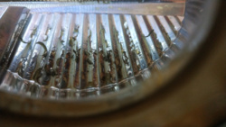 99f482d1-b662-4832-a020-2d10602b2693