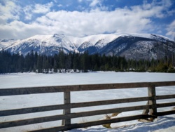 73a5e607-2d14-4290-9b26-5e95ba79ca6e