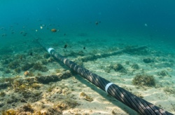 Rosjanie naprawiają uszkodzony kabel. Wysłano statek patrolowy