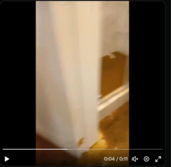 ddf9d775-101c-4b45-92b9-9a18c2116fe8