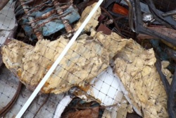 05d8b57b-2fcf-4312-97a6-6ee5c938ffe7