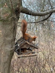 3431acce-4c7c-4926-a72f-6950c70f018d