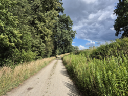 6d0fa786-68e3-4bbe-8f11-2c43d813051f