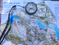 8802f746-4717-4c68-879e-080b83954fa9