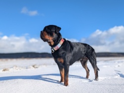 6566bba3-756f-44e5-be39-12d8bddd75da