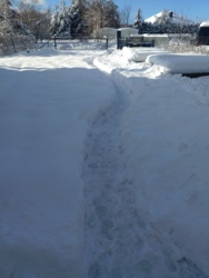 eabbc907-e9a2-410b-b920-57b7155f327e