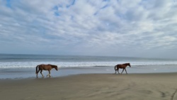 d880c8e2-724e-4abb-9763-104ef128f147