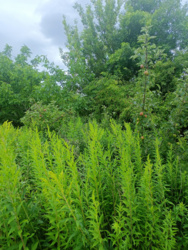 9efc4a7b-8c0e-451b-a911-cef2d16e0fbb