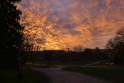 faab93c8-3489-4e69-9646-da1fd1e98d87