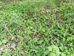 a025feb1-a369-4c7c-b48d-3f90490cf160