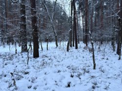 7c43f6d7-c1cd-4688-8db0-fa5ec806b474