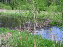 79979bd2-09c9-4a97-8f57-fbbf18c16b30