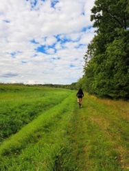 0704ba41-cc73-4567-8b63-531191cfd960