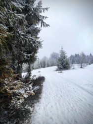 0b3ce492-5f09-402b-b03f-c4bac9453a7a