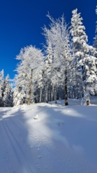 5bfee6b7-232d-490f-9d42-a780d1aa070d