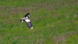 1a28eef2-1ea4-4b8e-b8d7-aa8dae736607