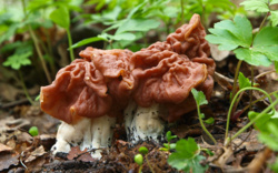 90b5414e-5902-4b94-9dde-e500e36662da