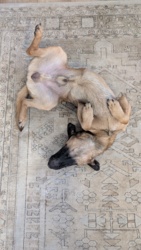 2bff3ff6-f123-4191-b82f-e32bf676745e