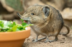 fa03aae5-3bbc-4dfe-82e3-57dd97e48c8c