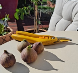 78c1e952-591a-4767-aaf2-0aef4bb066d1