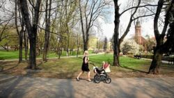 Rząd chce, żeby Polacy mieli więcej dzieci, ale "widzi tylko płodność". Sam wskaźnik to nie wszystko