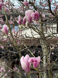 587be438-8cb2-4516-b1bb-f174437f55d8