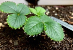 bb9ebb10-5478-43be-a62c-5c8c02468a08