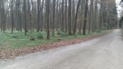 c498fe09-f646-4e84-8bde-db0f35cdcee7