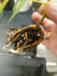 af43e4eb-0167-4053-ae56-7542b36d0c00