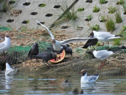 4cafb3c1-2ce9-4609-808e-d55e1c2d908d