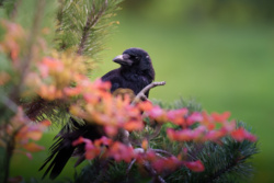 cc91a8bb-168c-4832-b2c3-60de6b0b47e8