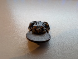 76749361-e472-4901-a200-6f154a1be81c