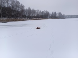 cc346938-3435-42e9-ab19-33561bed67c2