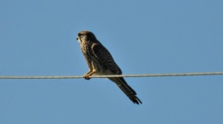 6fd24109-fa19-4841-ab79-a6535c9b43b6