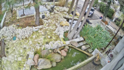 c3443c07-026e-4942-8b89-52979d4c40c8