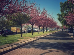 07ba8b0b-213a-4624-bb1a-c93b9f637645