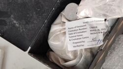 W paczce z Kanady zamiast przypraw były ludzkie prochy. "Funkcjonariusze byli bardzo zdziwieni"