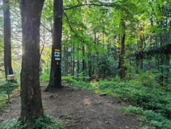 d5924b41-d886-41ff-a793-e30b719fbeeb