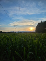 3c3940bd-1748-4a52-b528-42b64d85e138