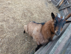 3493f598-7ff6-4862-b760-1795ebe860ef