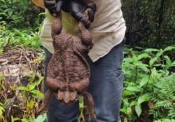 0f204cfc-e8c4-4db5-a7a0-2d8f60740931