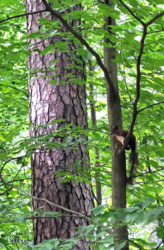 c9d275e8-f279-4146-b2ef-dac7b6f86582